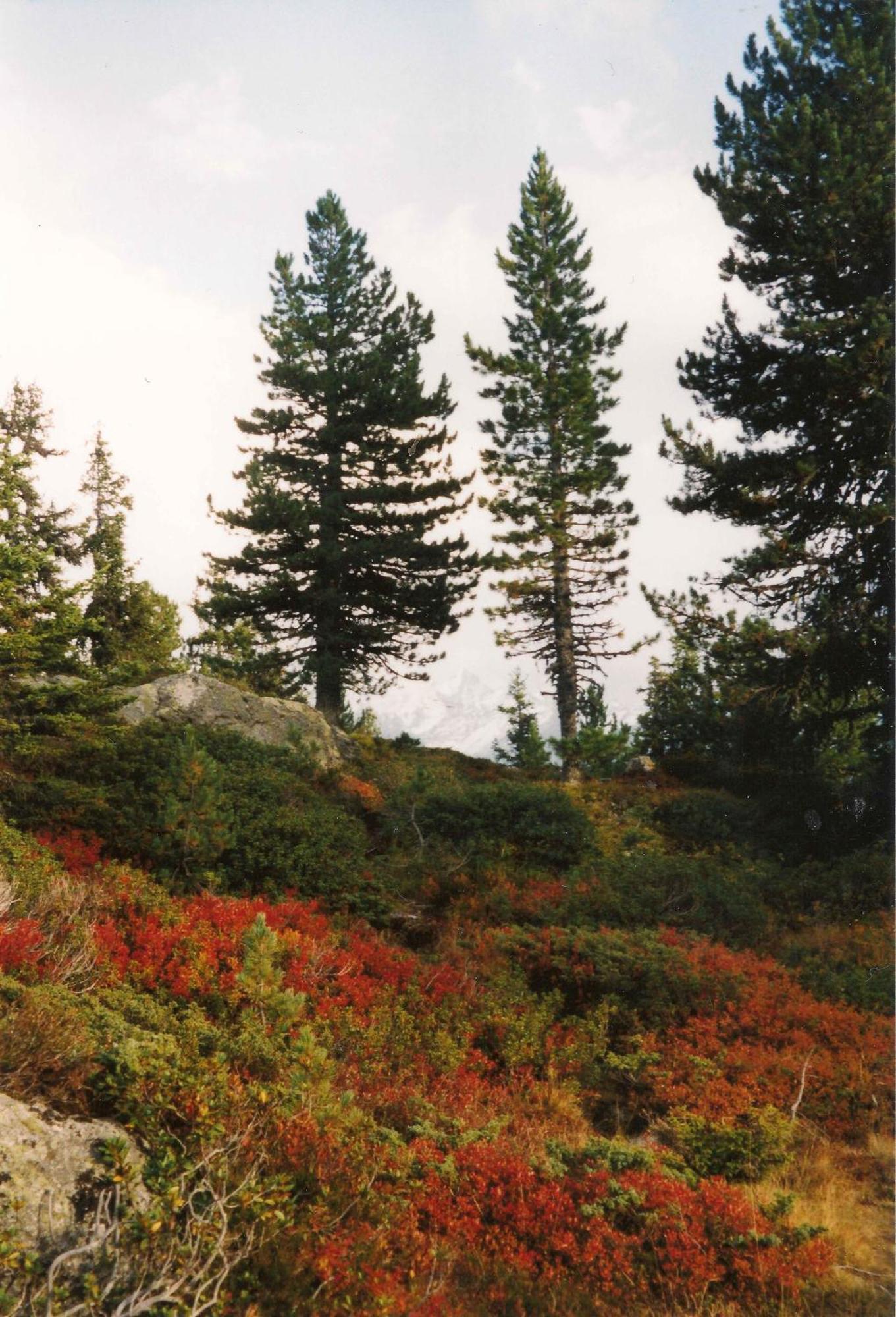 Apart Panoramablick Kaunerberg 외부 사진