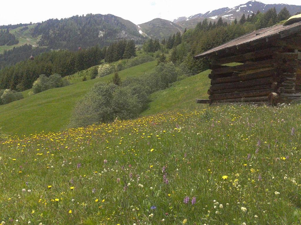Apart Panoramablick Kaunerberg 외부 사진